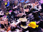 DSC01146.JPG