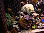 DSC01176.JPG