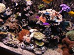 DSC01180.JPG