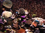 DSC01187.JPG