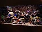 DSC01172.JPG