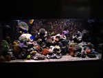 DSC01184.JPG