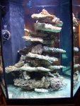 Aqua wing, mws, Aqua Topia 17 Maart 2008 037.jpg