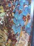 Aquarium 003.JPG