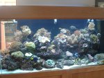 DSC00104.JPG