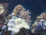 DSC00078.JPG
