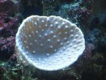 DSC00086.JPG