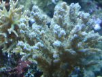 DSC00100.JPG
