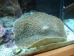 DSC00093.JPG