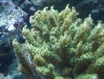DSC00087.JPG