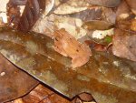 DSC00902.JPG