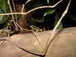 DSC00871.JPG