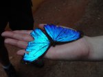 DSC00804.JPG