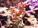 DSC01215.JPG
