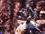DSC01235.JPG
