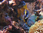 DSC01244.JPG
