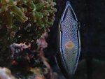 DSC01255.JPG