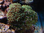 DSC01276.JPG