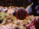DSC01285.JPG