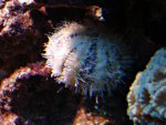 DSC01286.JPG