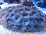 IMG_5413.JPG