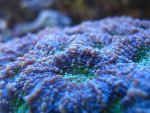 IMG_5415.JPG