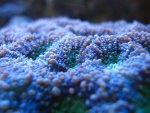 IMG_5416.JPG