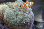 DSC00045.JPG