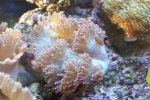 DSC00073.JPG