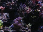 IMG_1346.JPG