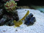 IMG_1305.JPG