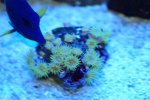 DSC00147.JPG