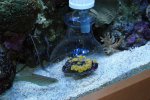 DSC00175.JPG