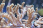 DSC00213.JPG