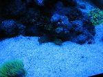 IMG_1361.JPG