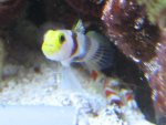 Aquarium 017.JPG