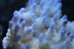 DSC00219.JPG