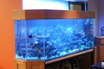 DSC00277.JPG