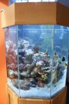 DSC00308.JPG