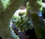 CRW_2588 (Medium).jpg