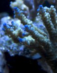 CRW_2664 (Medium).jpg