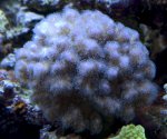 CRW_2661 (Medium).jpg