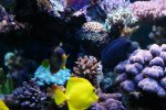 vis7.6.08.JPG
