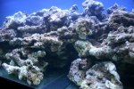 IMG_3282a.JPG