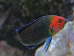 DSC01595.JPG