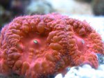 IMG_5121.JPG