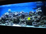 DSC00725b.jpg