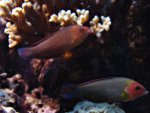 DSC01630.JPG