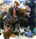 IMG_0256.JPG