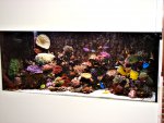 DSC01668.JPG